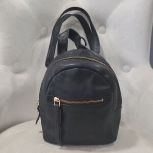 Fossil Midnight Black Backpack with Gold Accents